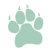 Blendbetter Pet Foods